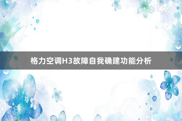 格力空调H3故障自我确建功能分析